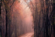 爱游戏网页版登录入口-波鸿逆境中奋起:乌龙球挑战与渐入佳境的进攻节奏