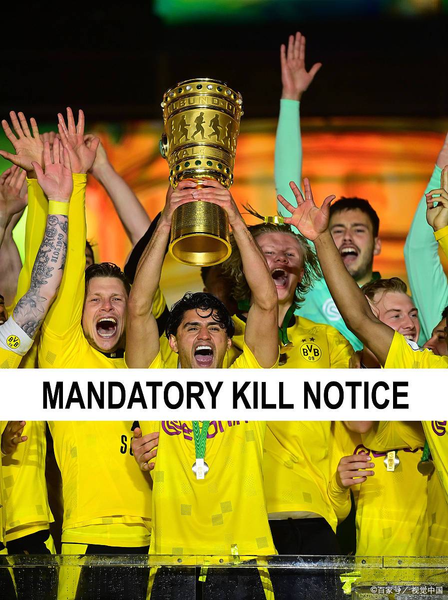 爱游戏登录-世界杯冠军出炉，巴西队夺魁