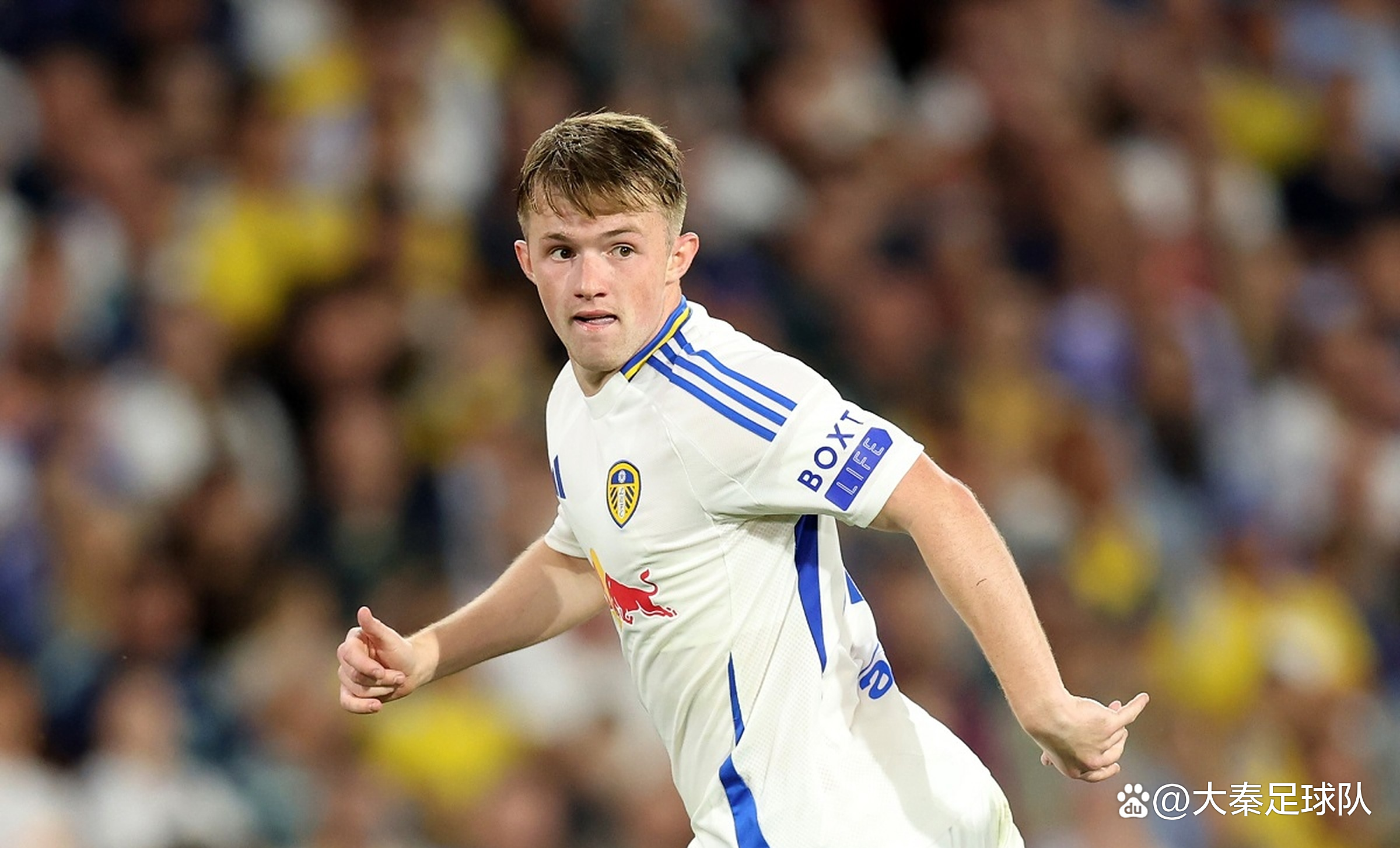 关于利兹联年轻后卫崭露头角，展现出色表现的信息
